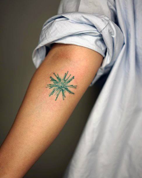 Coolest Females Sea Urchin Tattoo