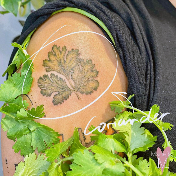 Coolest Womens Coriander Tattoos