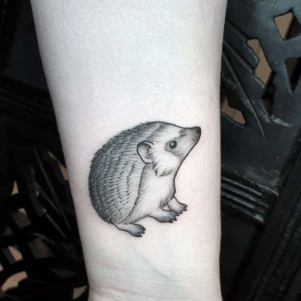 Coolest Womens Hedgehog Tattoos