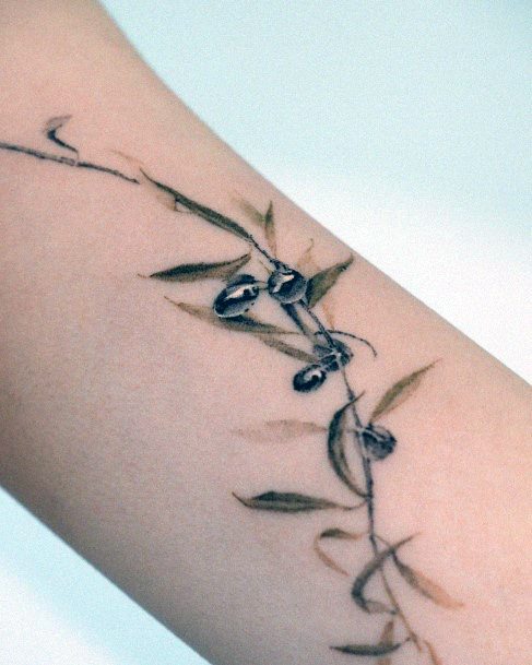 Coolest Womens Olive Branch Tattoos
