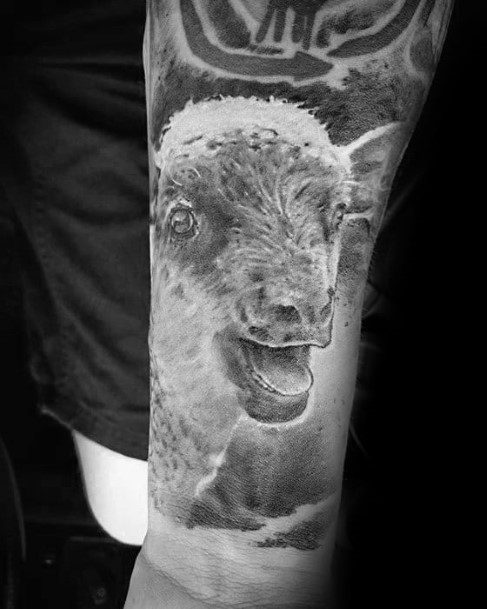 Coolest Womens Sheep Tattoos