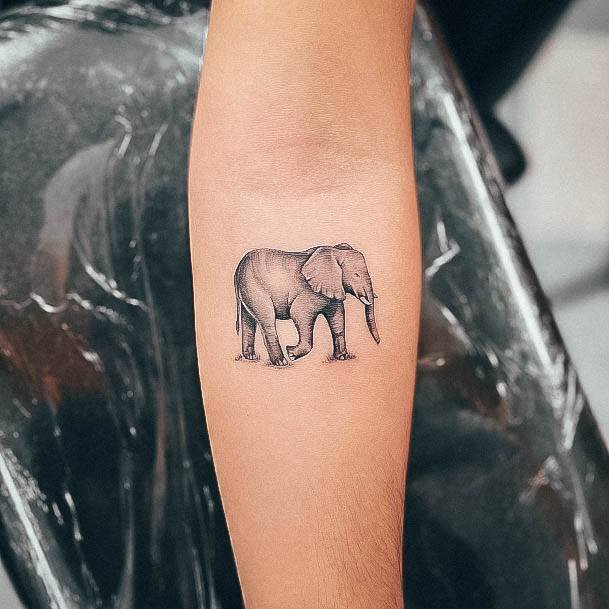 Coolest Womens Small Elephant Tattoos