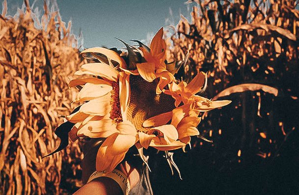 Corn Maze Date Ideas