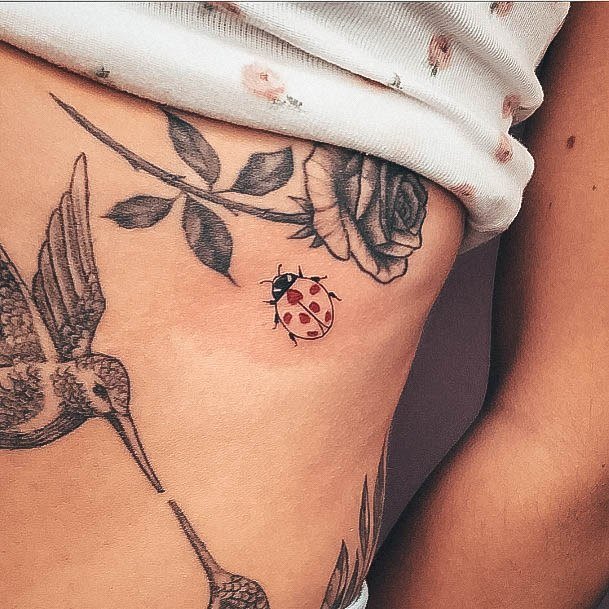 Creative Ladybug Tattoo Designs For Women