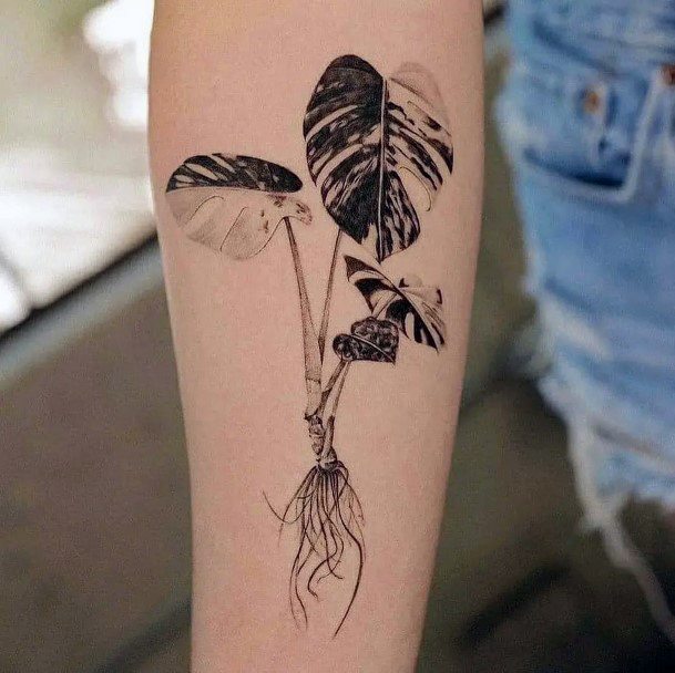 Creative Monstera Tattoo Designs For Women