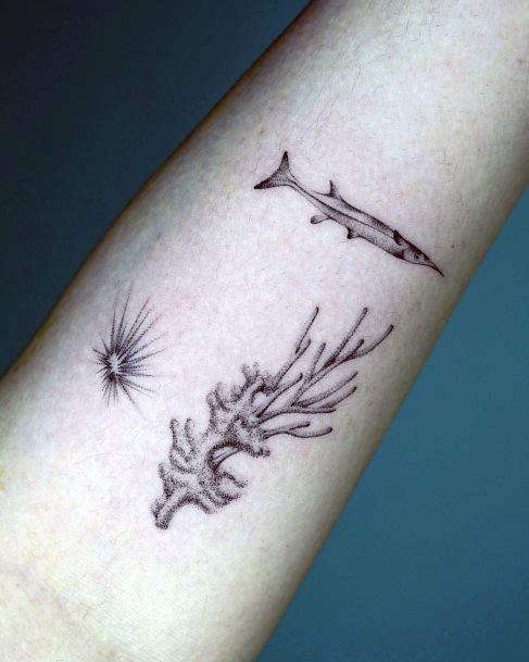 Creative Sea Urchin Tattoo Designs For Women