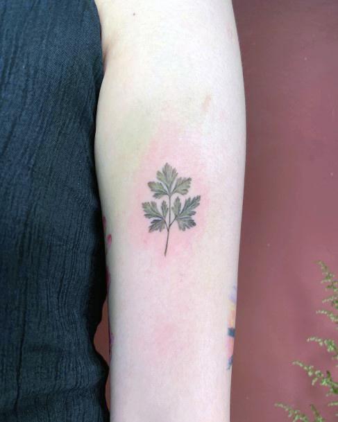 Cute Coriander Tattoo Designs For Women