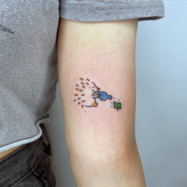 Cute Hedgehog Tattoo Designs For Women