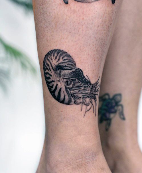 Cute Nautilus Tattoo Designs For Women