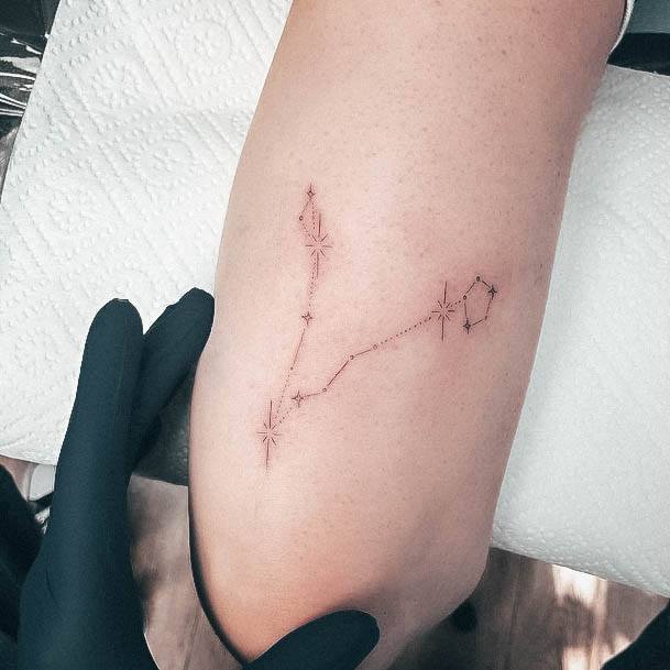 Cute Pisces Tattoo Designs For Women Astrology Constellation Arm