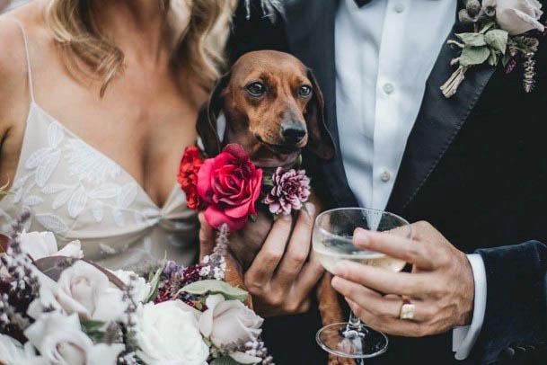 Cute Puppy Dog Red Purple Flowers Boutonniere Wedding Ideas