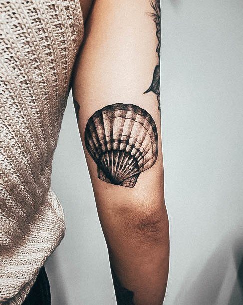 Cute Seashell Tattoo Designs For Women