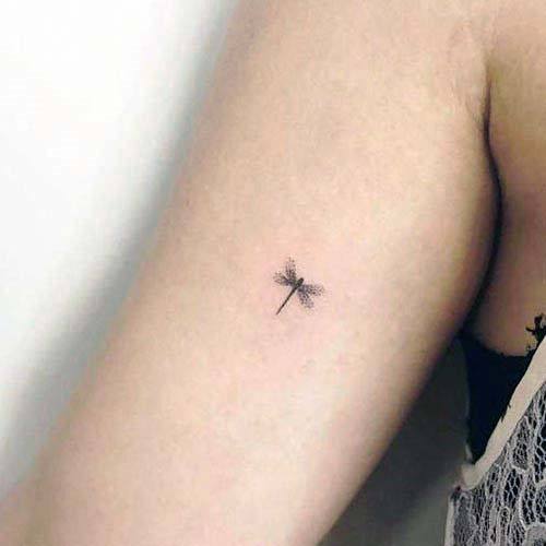 Cute Small Dragonfly Tattoo Womens Arms