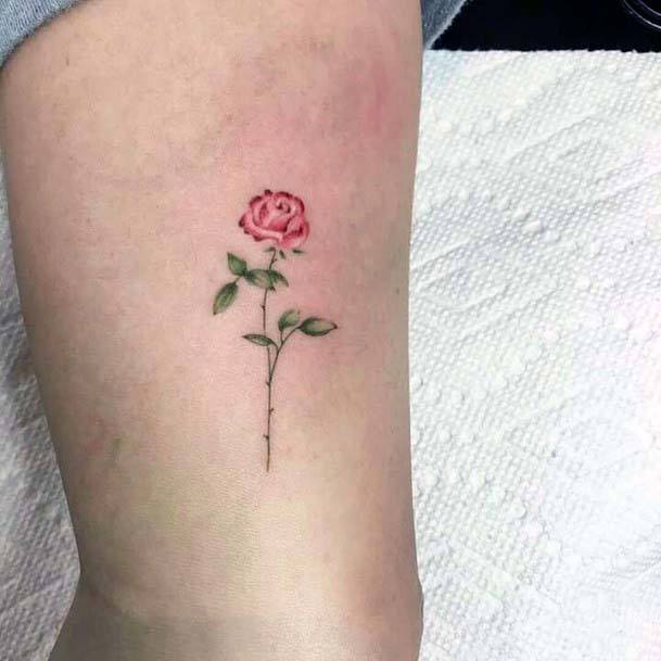 Cute Small Tattoo Of Red Flower With Stem Womens Hands