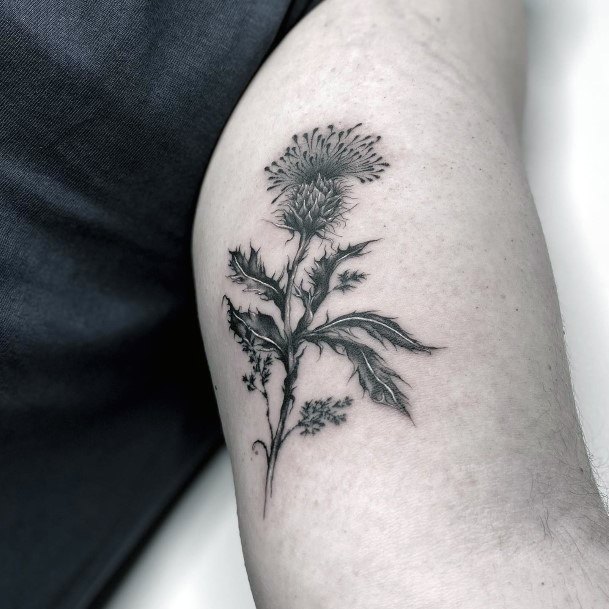 Cute Thistle Tattoo Designs For Women