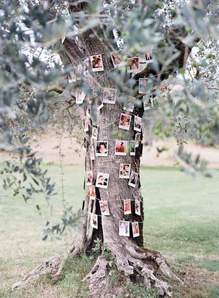 Decorated Tree With Photos Cheap Wedding