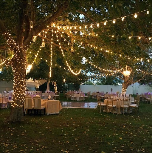 Decoration Ideas Backyard Wedding Ideas