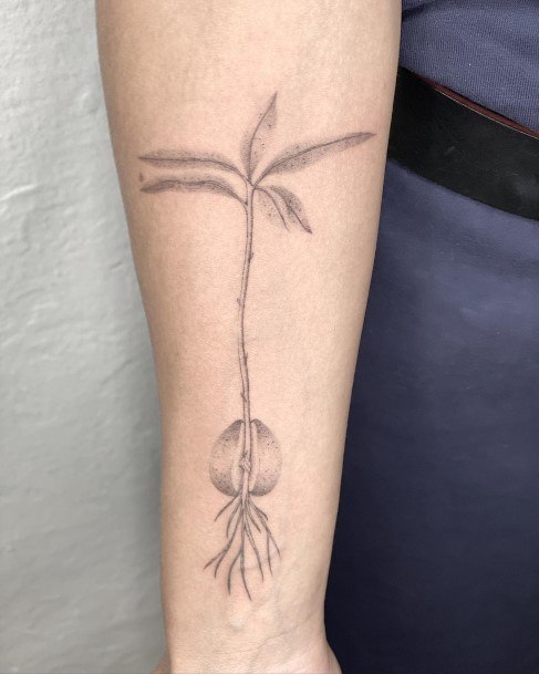 Decorative Avocado Tattoo On Female