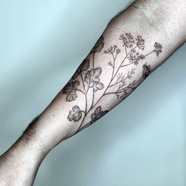 Decorative Coriander Tattoo On Female