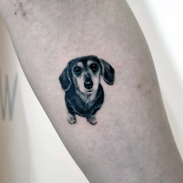 Decorative Dachshund Tattoo On Female