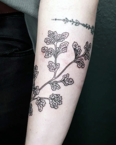 Decorative Looks For Womens Coriander Tattoo