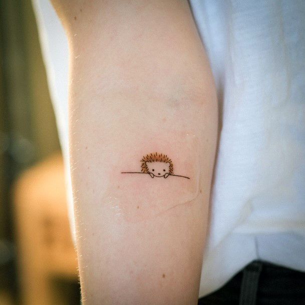 Tattoo of a hedgehog the symbolism and meaning behind this image 