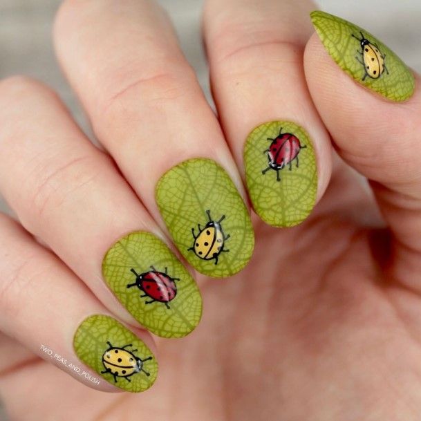 Decorative Looks For Womens Ladybug Nail