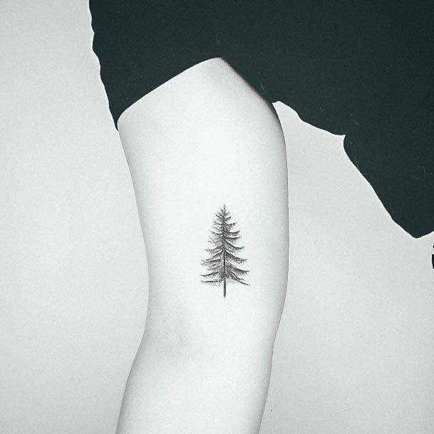 Top 100 Best Pine Tree Tattoos For Women - Forest Design Ideas