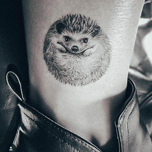 Top 100 Best Porcupine Tattoos For Women Sharp Quill Design Ideas