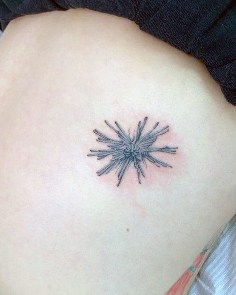 Decorative Looks For Womens Sea Urchin Tattoo
