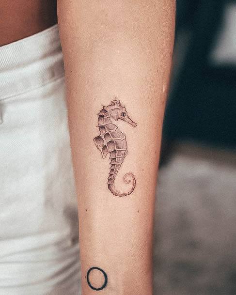 Decorative Looks For Womens Seahorse Tattoo