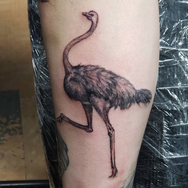 Decorative Ostrich Tattoo On Female