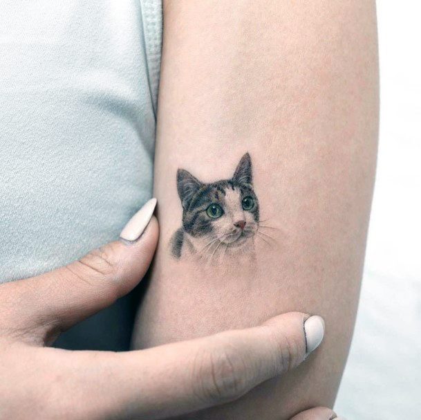 Decorative Pet Tattoo On Female