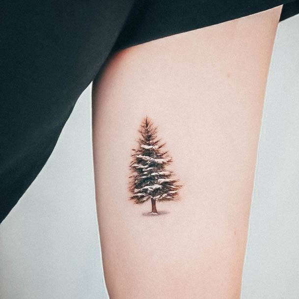 Decorative Pine Tree Tattoo On Female