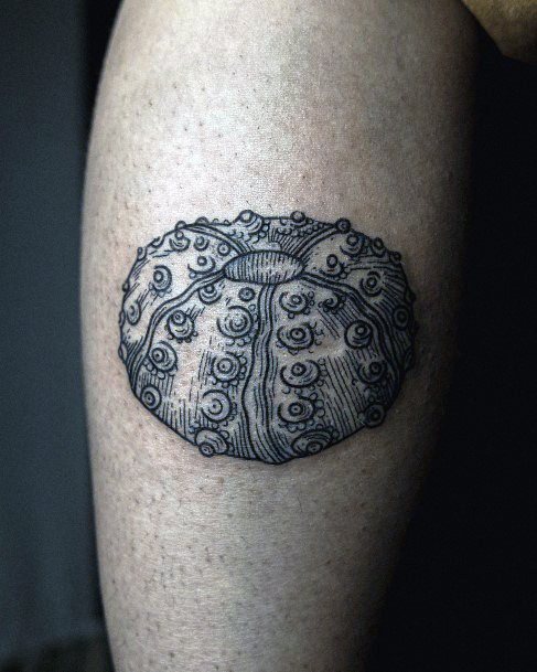 Decorative Sea Urchin Tattoo On Female