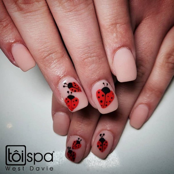 Delightful Nail For Women Ladybug Designs