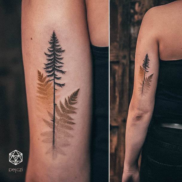 Delightful Tattoo For Women Pine Tree Designs