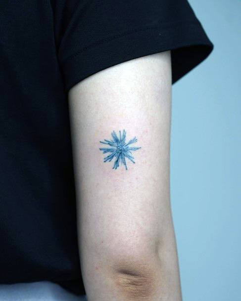 Delightful Tattoo For Women Sea Urchin Designs