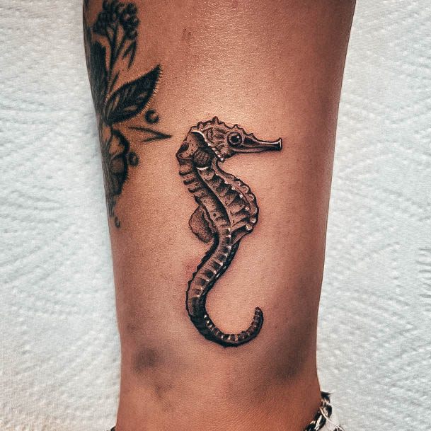 Delightful Tattoo For Women Seahorse Designs