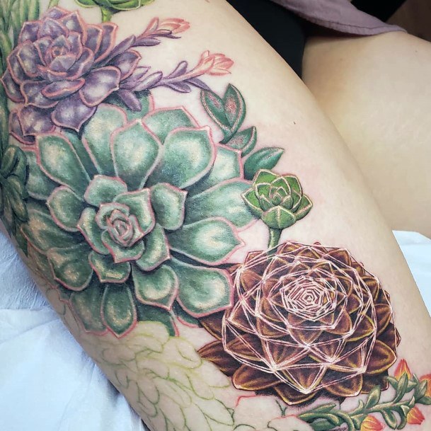 Delightful Tattoo For Women Succulent Designs