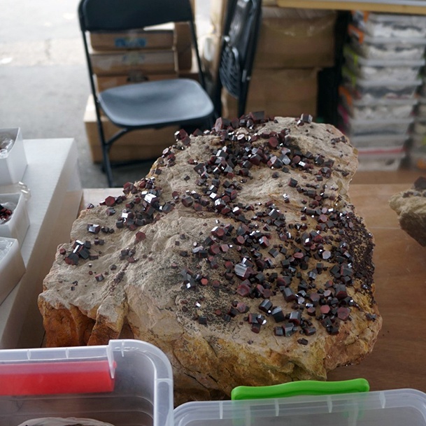 Denver Colorado Gem And Mineral Show Dark Red Crystals