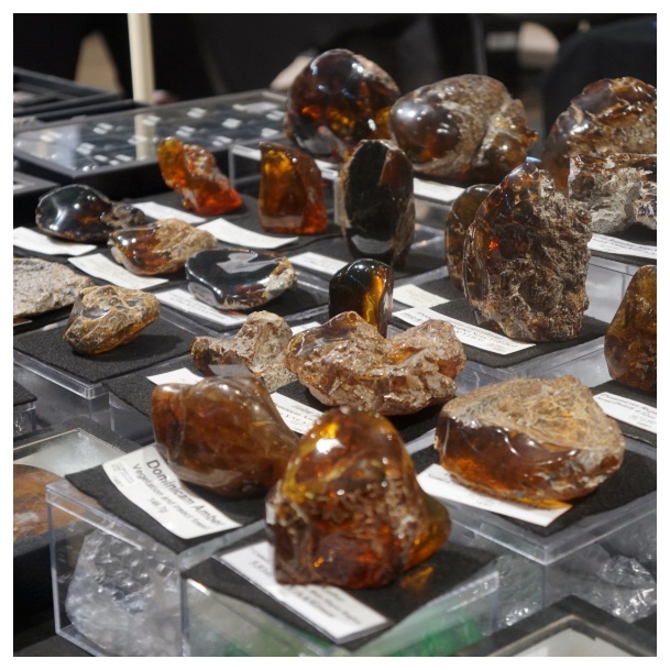 Denver Gem And Mineral Amber