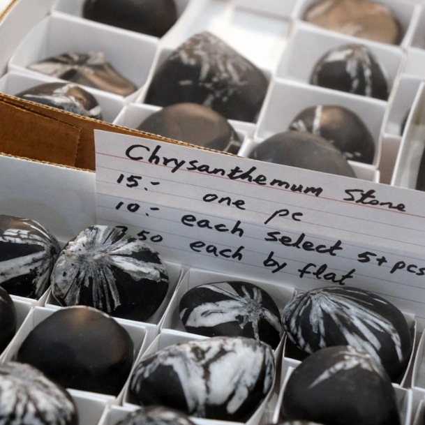 Denver Gem And Mineral Show Chrysanthemum Stone