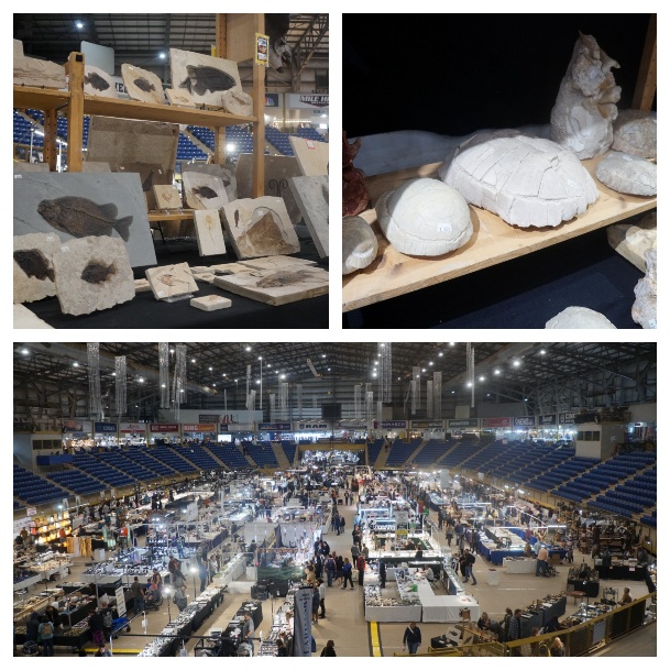 Denver Gem and Mineral Show Highlights and Crystal Shopping Secrets