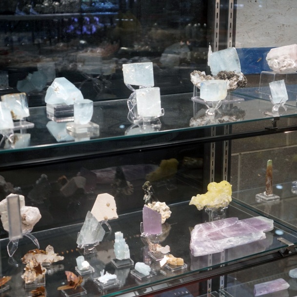 Denver Gem And Mineral Show Mineral Specimens Case