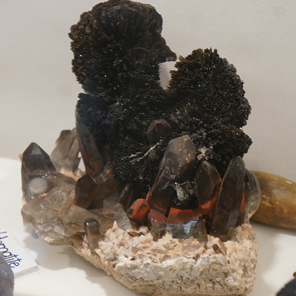 Denver Mineral Show Part Two (17)