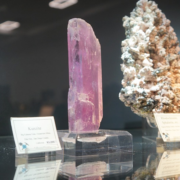 Denver Mineral Show Part Two (21)