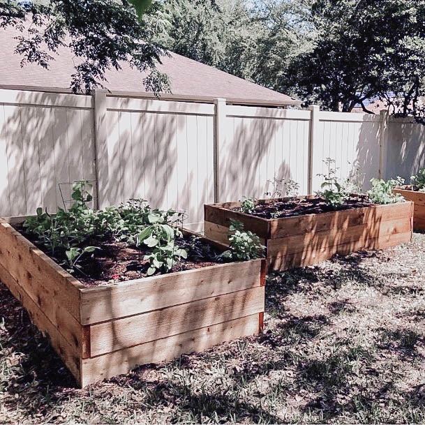 Design Ideas For Raised Garden Inexpensive