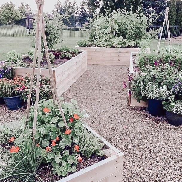 Designs For Building A Wood Raised Garden Bed