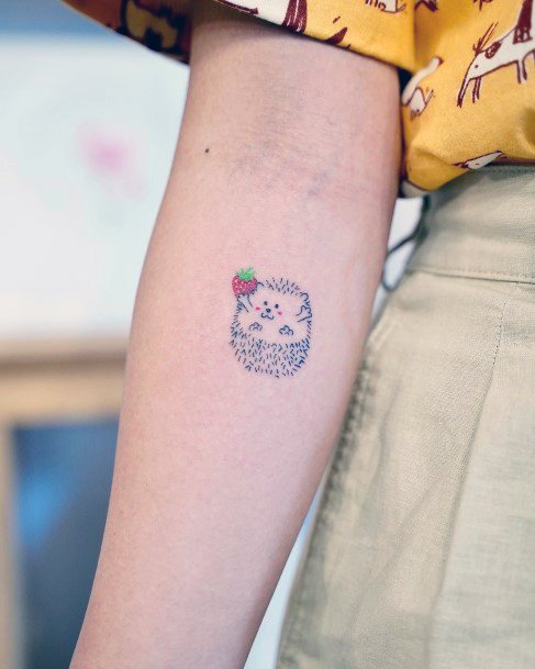 Distinctive Female Hedgehog Tattoo Designs